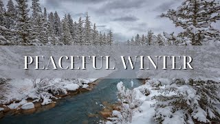 Dream in Winter: Peaceful Guitar & Ambient Sounds for Calm Nights | Deep Sleep & Stress Relief