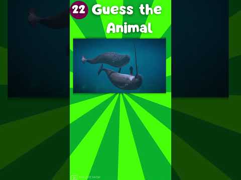 Guess 50 Animals in Just 3 Seconds – Can You Do It?|The Quiz Show