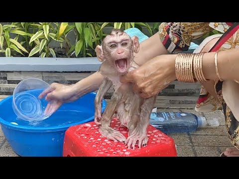 Cute Baby boy Sit For Mom To Take A Bath Look is Very Cute