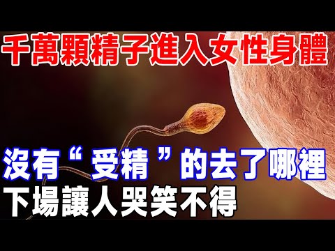 千萬顆精子進入女性身體，沒有“受精”的去了哪裡，下場讓人哭笑不得#科普頻道 #科普