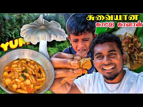 🔥ருசியான காட்டு காளான் குழம்பு😋 | DELICIOUS WILD MUSHROOM RECIPE | VILLAGE COOKING | K7