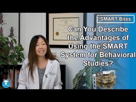 SMART Bites | Can You Describe the Advantages of Using the SMART System for Behavioral Studies?