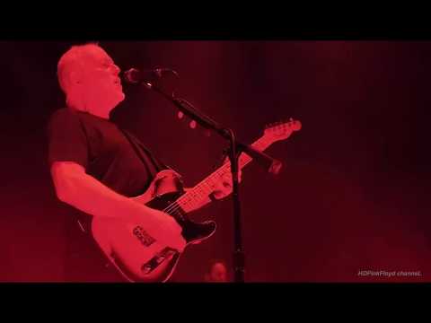 David Jon Gilmour / Guitarist from PinkFloyd  "LIVE "