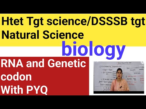 RNA and Genetic codon ||Most important topic in science biology section