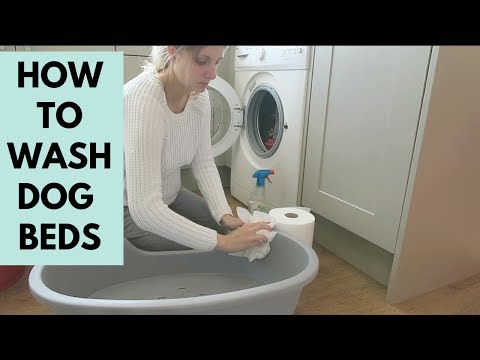 HOW TO CLEAN YOUR DOGS BED - MY ROUTINE