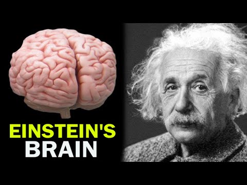 15 Most Surprising You Never Knew About Albert Einstein