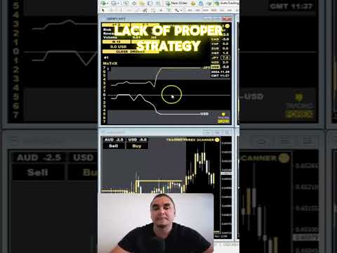 Avoid These Common Forex Trading Mistakes