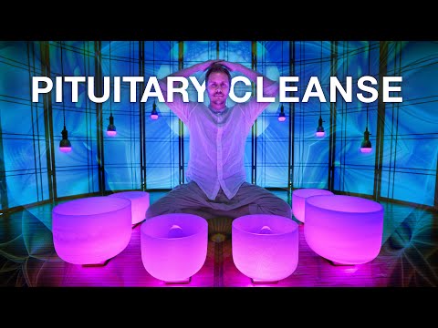 Pituitary Gland Sound Bath  for *METABOLISM* and Stress Reduction | Energy Cleansing Singing Bowls