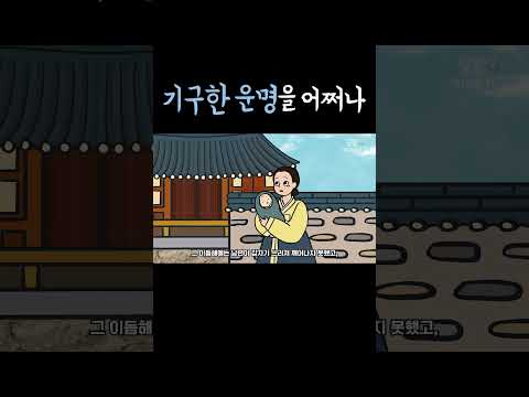 기구한 운명을 어쩌나 #shorts #달빛이야기극장