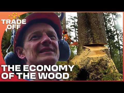 The Economy Of The Wood | Lumberjack Lives Full Documentary