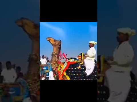 Thar villages life and culture in Sindh Pakistan #villagelifestyle#shortvideo #abidaparveen #song