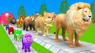 Paint Animals Duck,Tiger,Cow,Lion,Kangaroo,Gorilla,Elephant,Dinosaur Fountain Crossing Animals Game!