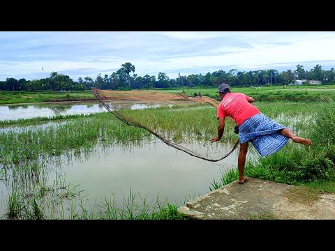 Cast Net Fishing Videos।Catching fishing by cast net