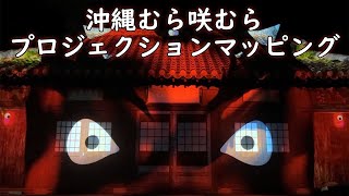 Ryukyu Kingdom Murasakimura Projection Mapping [Okinawa]