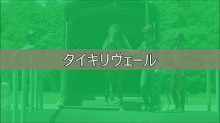 タイキリヴェール　2020.6　BTC