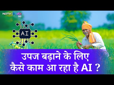 Baramati के Farmers उपज बढ़ाने के लिए कैसे कर रहे हैं AI का इस्तेमाल ? | NDTV Profit Hindi