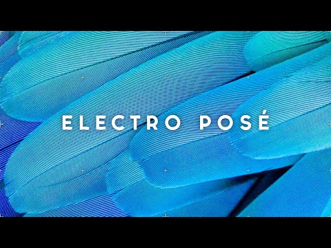 Elderbrook, Shimza - PLACES