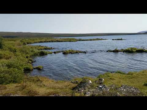 Lake at Þingvallavatn, Iceland