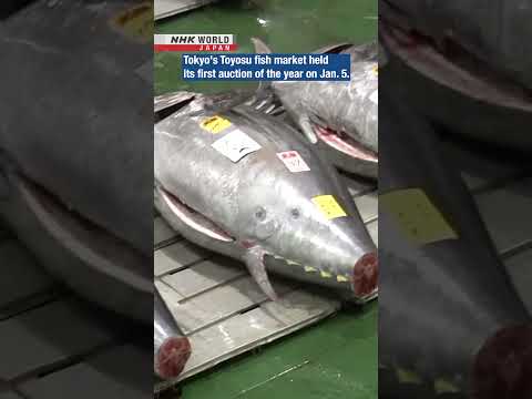 Bluefin Tuna fetches $1.3 million at first auction of 2025ーNHK WORLD-JAPAN NEWS #shorts