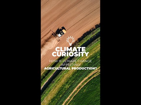 Climate Curiosity - How is Climate Change Affecting Agricultural Production