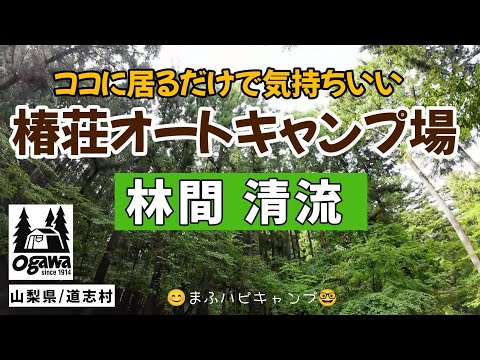 【山梨県/道志村】椿荘オートキャンプ場  日清カレーヌードル/スタミナほうとう/スタミナ焼肉丼/玉子とハムチーズのホットサンド #まふハピキャンプ