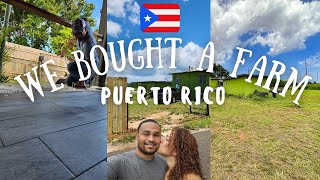 From Abandoned to Abundant: Farm live and Flip in Puerto Rico