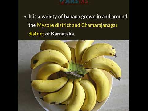 Nanjangud Rasabale Banana #upsc #aksias #iascoaching