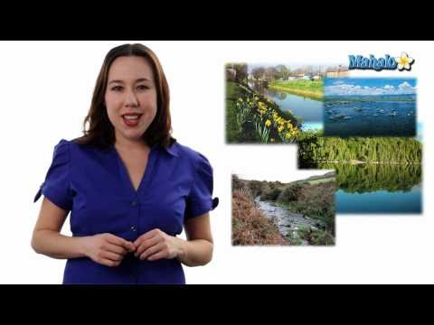 Learn Biology: Biomes and Communities Definition