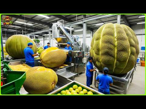 How Thai Farmers Bring Giant Jackfruits to the Market – A Farm-to-Table Documentary