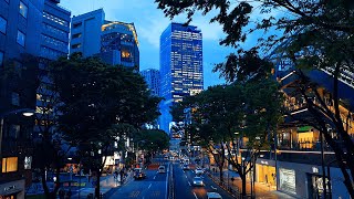 City Traffic Sounds | Tokyo Shibuya Meiji-dori | Background Sounds for Sleeping, Studying - 4K ASMR