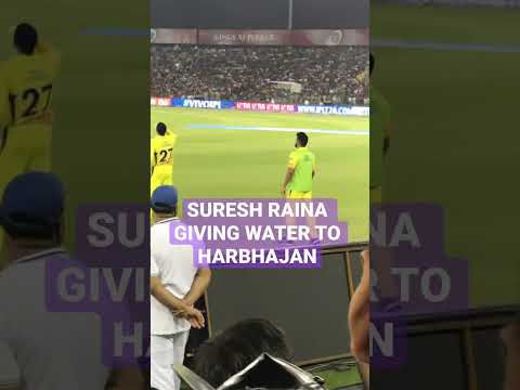 #sureshraina #harbhajansingh #cricketshorts #ipl #trending #mustwatch #attitude #cricketfever