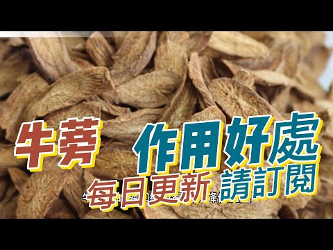 EP140 牛蒡burdock 與好處與作用  利尿 抗炎 抗氧化 健康  養生 天然 食療 原形食