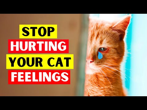 9 Everyday Things That EMOTIONALLY Hurt Your Cat