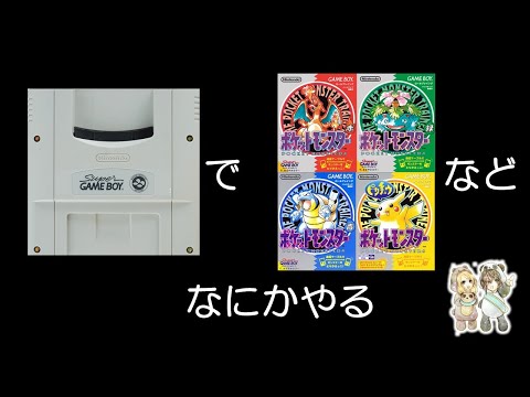 あそくら家の巣🐼🐻✨【Ex.1】ポケモン初代　などを 配信します！！【レトロゲーム： スーパーゲームボーイ実機】【起動確認しながら】