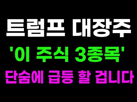 [급등주 추천] 미증시 급등 물가 잡혔다! 트럼프 정책 황제주 공략타점!  #급등주 #급등주추천