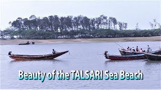 The Beauty of the Talsari Sea Beach - Orissa | Adventure Tourism | RVC TRAVEL Exclusive