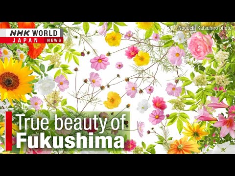 Capturing the true beauty of FukushimaーNHK WORLD-JAPAN NEWS