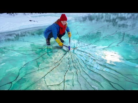 Momentos Invernales Satisfactorios Captados por las Cámaras