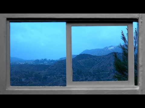 HOLLYWOOD HILLS WINDOW VIEW