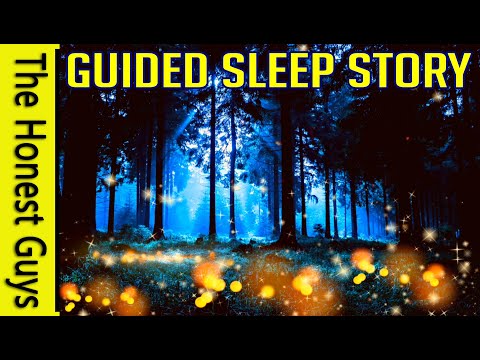 Guided Sleep Story: Firefly Night. Sleep Talk-Down for Deep Relaxation and Sleep (Haven Series)