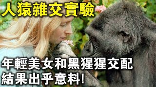 世界最恐怖“人猿雜交”實驗！5名年輕美女與20只黑猩猩交配，結果，猩猩卒？