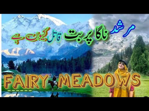 Nagaparbt | Fairy Meadows | North Pakistan tour | killer mountain | Travel velog |#northpakistantour