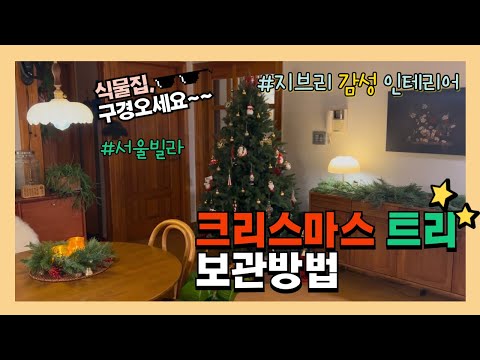 크리스마스 트리 보관 방법 #서울빌라 #인테리어 #투룸 #집꾸미기 #집꾸 #vlog #빌라 #구옥 #구축 #오래된빌라 #18평 #투룸 #셀프인테리어