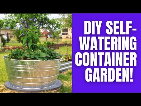 DIY Self-watering Container Garden