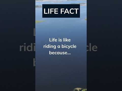 Life Lessons from the Bicycle #BalanceIsKey #LifeIsARide #shorts