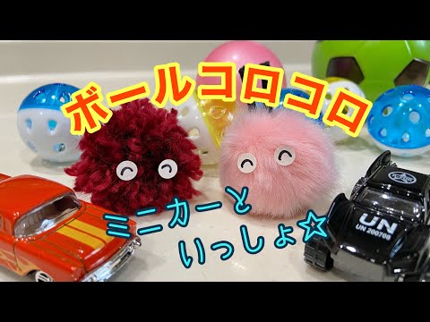 【ボールコロコロ】ミニカーといっしょ🚗　【Rolling Balls】with toy cars🚗