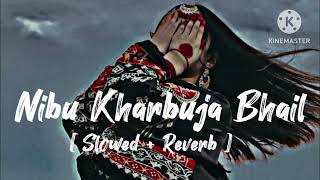 |Nibu kharbuja bhail | kheshari lal Yadav new Bhojpuri song| slowed and reverb song