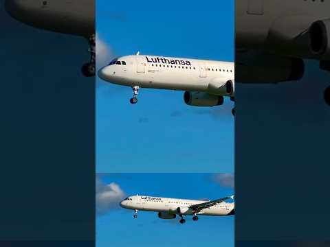 Lufthansa 🇩🇪 landing at Barcelona AirPort #youtubeshorts #remix #planespotting #shorts #short #bcn