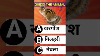 Guess the Animal #quiz #guess #shorts  #animalquiz #animals