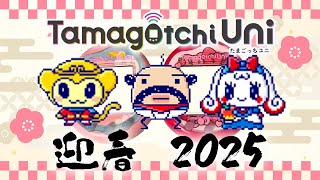 【たまごっち育成動画】明けました❗️今年もユニを攻略していくー